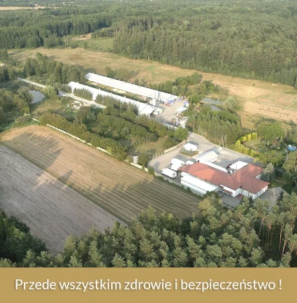 Zdrowie i bezpieczeństwo - ROKOKO